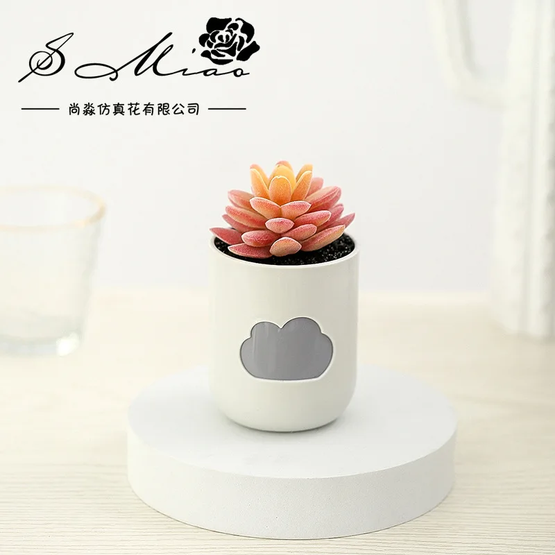 1 Pc Artificial PVC Plants with Cloud Pot Simulation Succulents Mini Bonsai Potted Green Fake Plant Home Table Decor
1 Pc Artificial PVC Plants with Cloud Pot Simulation Succulents Mini Bonsai Potted Green Fake Plant Home Table Decor