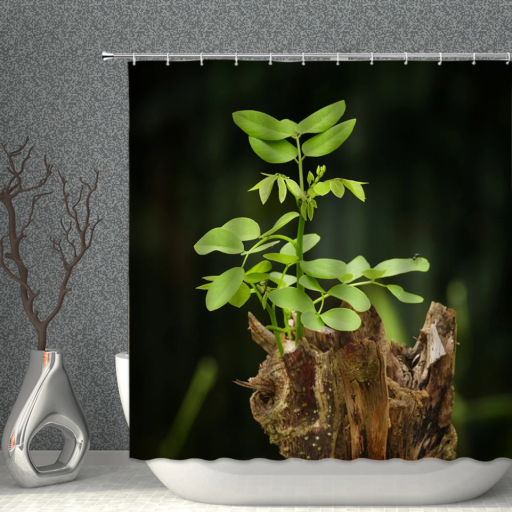 Spring And Summer Natural Landscape Shower Curtain Polyester Waterproof Fabric Green Plants Bathroom Accessories With Hooks
Spring And Summer Natural Landscape Shower Curtain Polyester Waterproof Fabric Green Plants Bathroom Accessories With Hooks