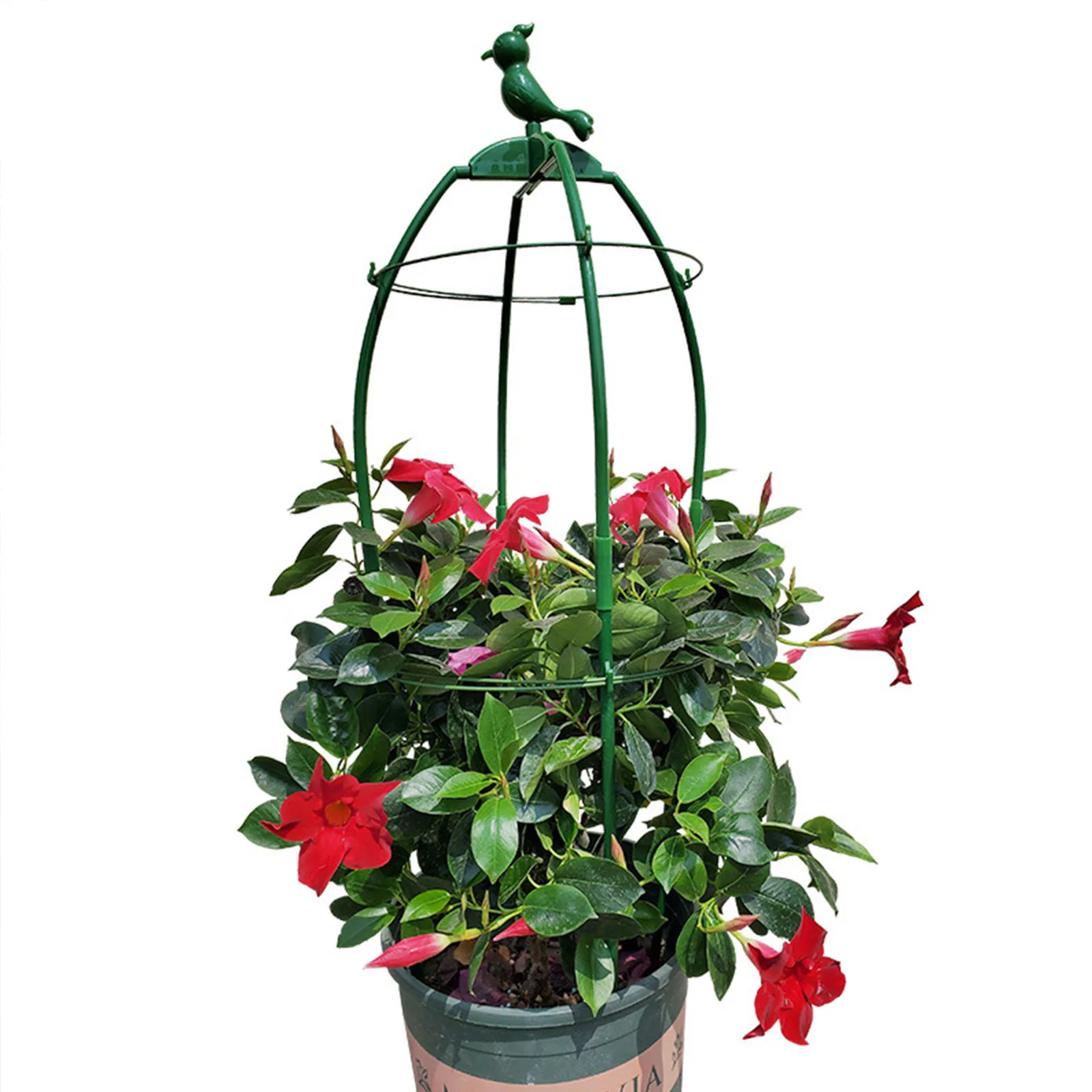 Vegetables Decorative Trellis Bracket Planting Support Stakes Effectively Gardening Garden Tool Durable Climbing Vine Rack
Vegetables Decorative Trellis Bracket Planting Support Stakes Effectively Gardening Garden Tool Durable Climbing Vine Rack