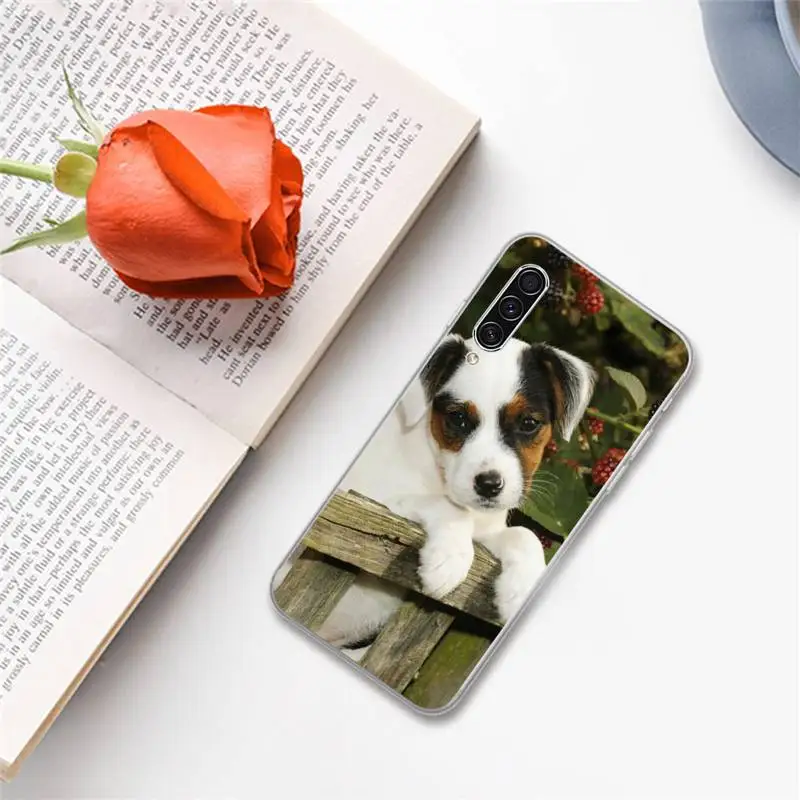 Cute animal Jack Russell Terrier Phone Cases For Samsung A S M Note 9 10 20 fe 21 71 30 ultra plus 5g 11 31 51 s
Cute animal Jack Russell Terrier Phone Cases For Samsung A S M Note 9 10 20 fe 21 71 30 ultra plus 5g 11 31 51 s