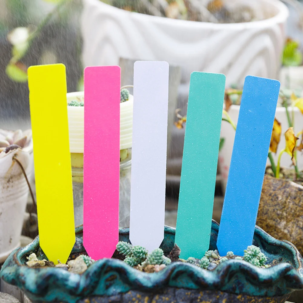 1000pcs Waterproof Garden Plant Tags Nursery Garden Labels Markers Plant Stakes(10x2cm)
1000pcs Waterproof Garden Plant Tags Nursery Garden Labels Markers Plant Stakes(10x2cm)