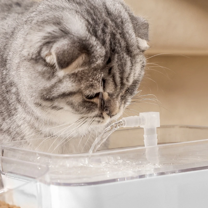 C90D Multi-functional Pet Feeding Dispenser for Food, Water Cat Automatic Drinking Fountains Quadruple Filter LED Light
C90D Multi-functional Pet Feeding Dispenser for Food, Water Cat Automatic Drinking Fountains Quadruple Filter LED Light