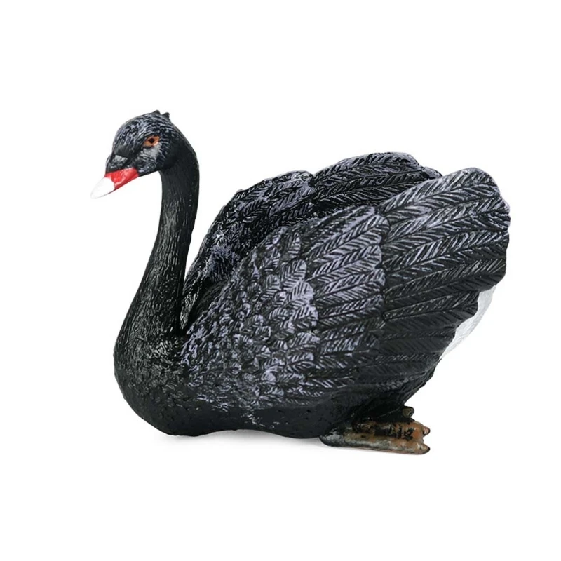 Simulation Static Solid Animal Model Ornaments Realistic Swan Children Educational Props Scene Decoration Kids Toy
Simulation Static Solid Animal Model Ornaments Realistic Swan Children Educational Props Scene Decoration Kids Toy