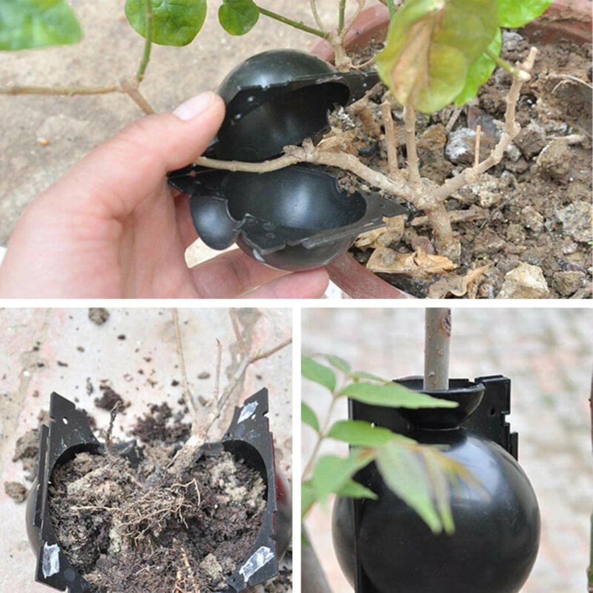 10PCS Garden High-altitude High Pressure Branch Plant Grafting Box Rooting Breeding Equipment Black Propagation Ball 8cm
10PCS Garden High-altitude High Pressure Branch Plant Grafting Box Rooting Breeding Equipment Black Propagation Ball 8cm