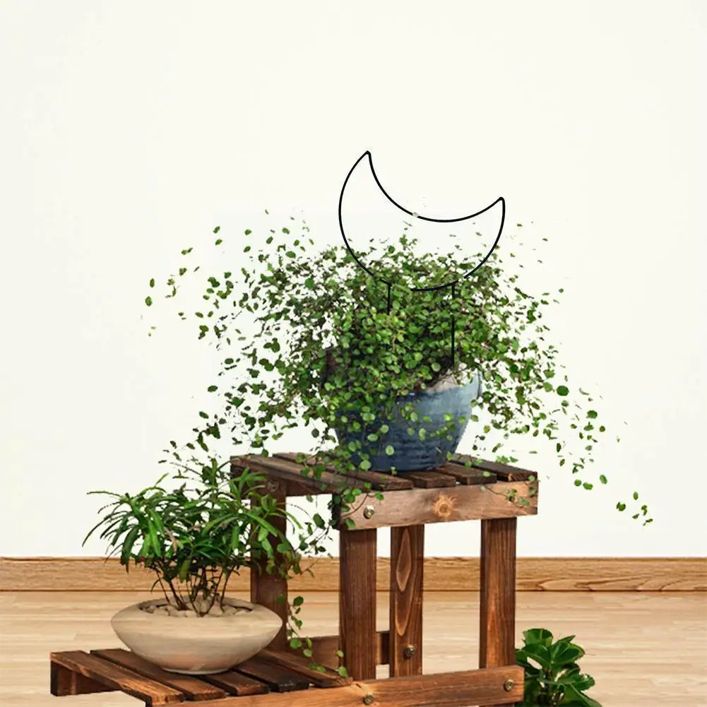 1 шт., стойка для растений, подставка для цветов, стойка для вьющихся растений, решетка для растений, кронштейн для поддержки овощей, железная...
1 шт., стойка для растений, подставка для цветов, стойка для вьющихся растений, решетка для растений, кронштейн для поддержки овощей, железная...