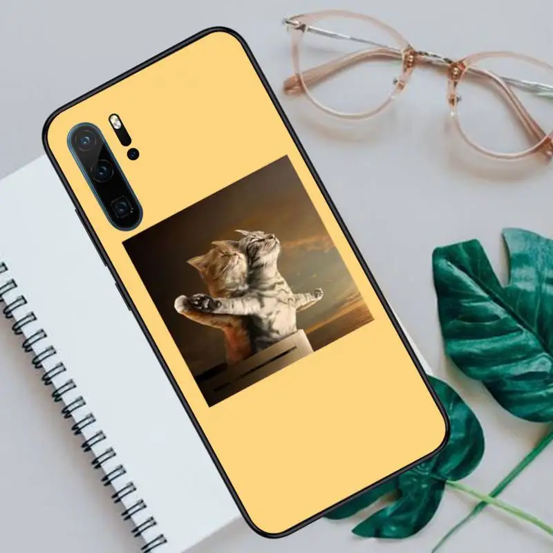Aesthetic Cute Animal Cat Phone Cases For Huawei P40 P20 P30 lite Pro P Smart 2019 Mate 40 20 10 Lite Pro Nova 5t
Aesthetic Cute Animal Cat Phone Cases For Huawei P40 P20 P30 lite Pro P Smart 2019 Mate 40 20 10 Lite Pro Nova 5t