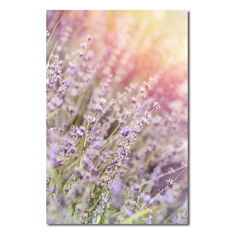 Anime Plants Poster Painting Lavender Landscape Hd Print Painting Poster Home Living Room and Bedroom Wall Art Decoration
Anime Plants Poster Painting Lavender Landscape Hd Print Painting Poster Home Living Room and Bedroom Wall Art Decoration