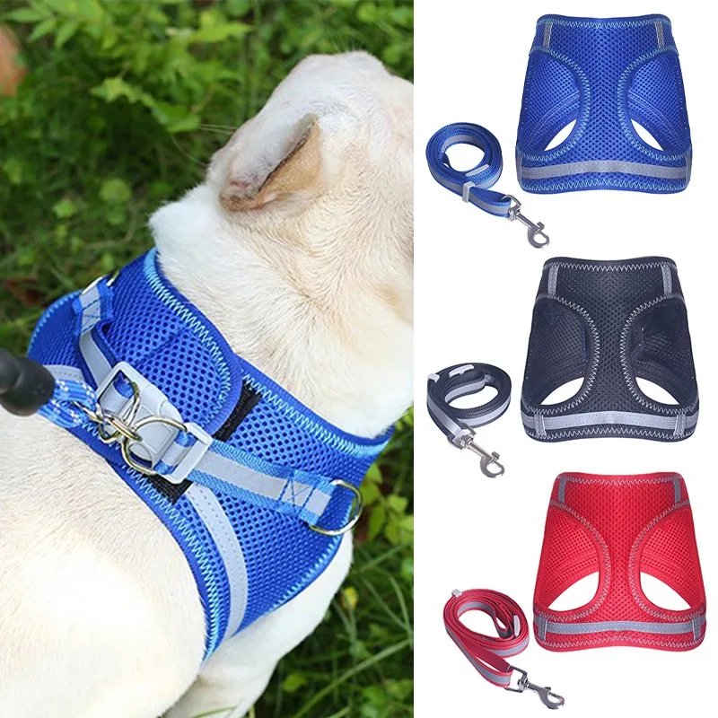 Small Dog Harness Mesh Dog Vest with Double D-Rings Reflective Breathable Soft Pet Harness with Adjustable Hook Harness
Small Dog Harness Mesh Dog Vest with Double D-Rings Reflective Breathable Soft Pet Harness with Adjustable Hook Harness