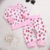 Newborn Infant Baby Girls Clothes Set Cotton Autumn Cartoon Long Sleeve Fruit Print Tops Pants New Born Clothes for 0-24M
Newborn Infant Baby Girls Clothes Set Cotton Autumn Cartoon Long Sleeve Fruit Print Tops Pants New Born Clothes for 0-24M