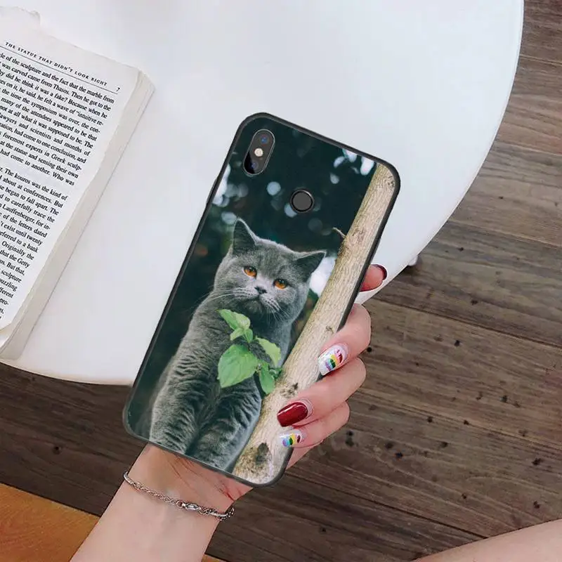 Webbedepp British Shorthair cat Phone Case For Xiaomi Redmi note 4 4X 8T 9 9s 10 K20 K30 cc9 9t pro lite max
Webbedepp British Shorthair cat Phone Case For Xiaomi Redmi note 4 4X 8T 9 9s 10 K20 K30 cc9 9t pro lite max