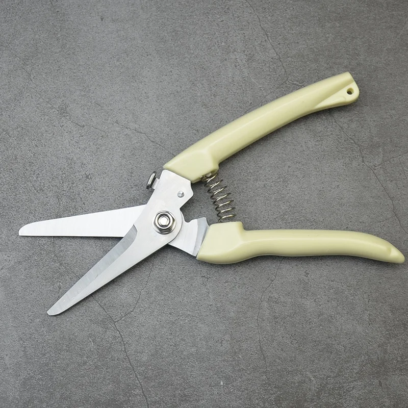 2PCS Gardening Scissors Pruning Shears Kit Gardening Hand Pruner and Mini-Tip Snip Garden Clipper with Blades
2PCS Gardening Scissors Pruning Shears Kit Gardening Hand Pruner and Mini-Tip Snip Garden Clipper with Blades