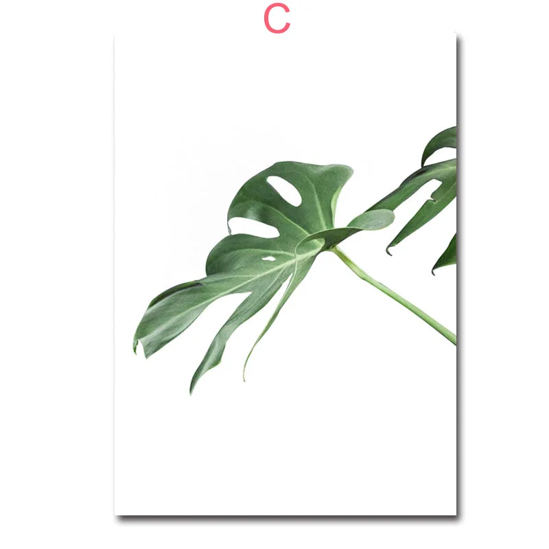 Canvas Wall Art L Green leaves Plant Painting Interior Decoration for Home Girl Bedroom Modern Simplicity Nordic Frameless
Canvas Wall Art L Green leaves Plant Painting Interior Decoration for Home Girl Bedroom Modern Simplicity Nordic Frameless