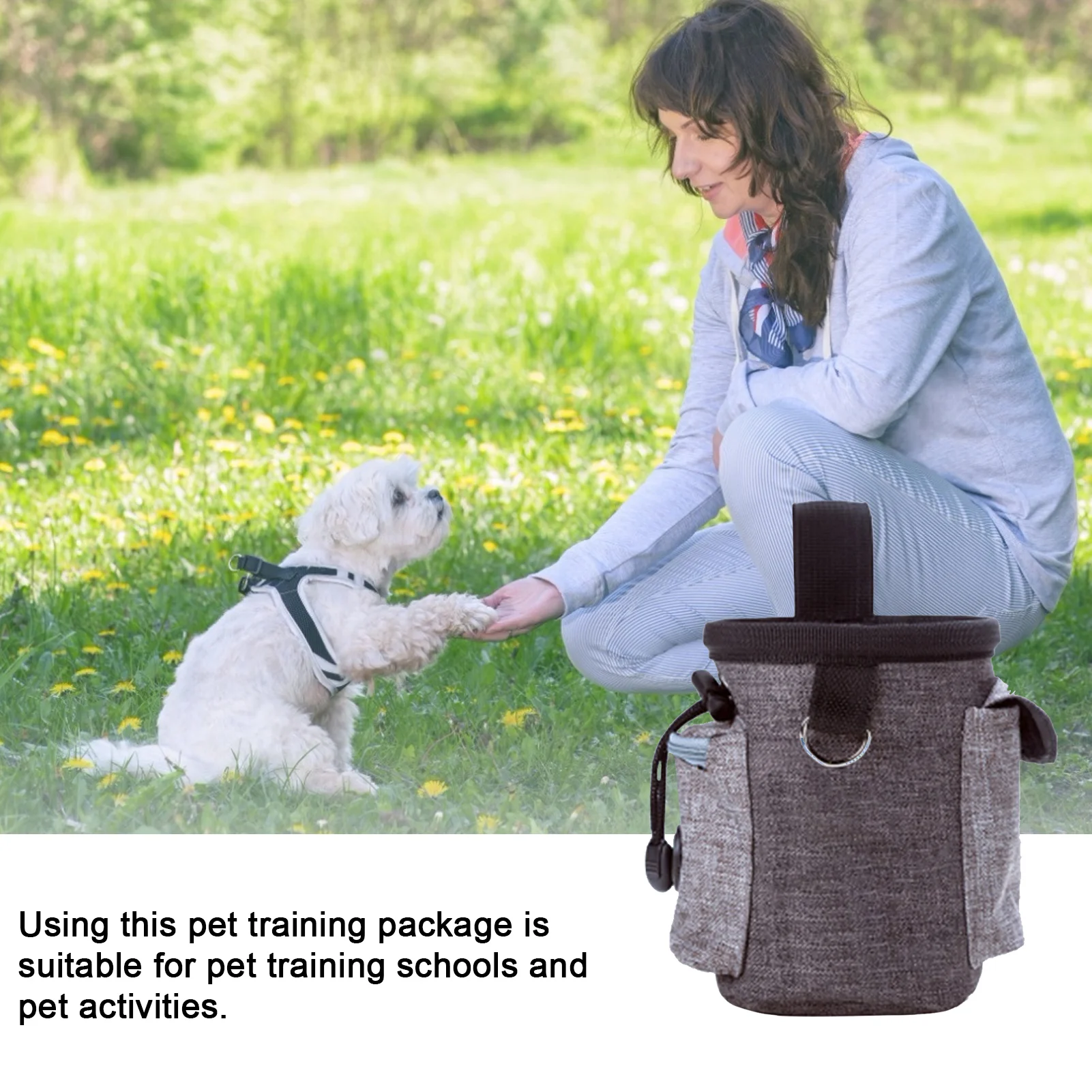 New Outdoor Portable Training Dog Snack Bag Pet Supplies Strong Wear Resistance Large Capacity Puppy Products Waist Bag Dropship
New Outdoor Portable Training Dog Snack Bag Pet Supplies Strong Wear Resistance Large Capacity Puppy Products Waist Bag Dropship