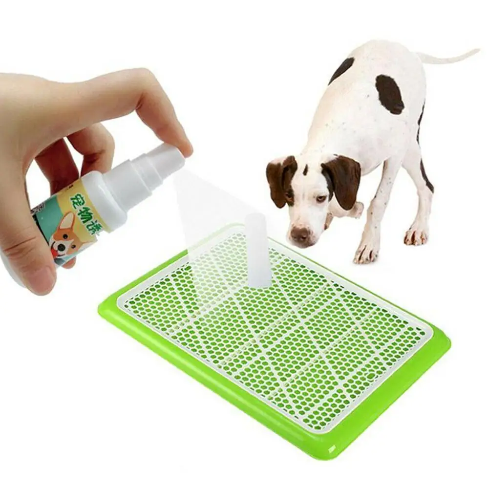 New Safe Dog Puppy Toilet Training Spray Pet Potty Pads Training Cat Aid Pee N7T4
New Safe Dog Puppy Toilet Training Spray Pet Potty Pads Training Cat Aid Pee N7T4