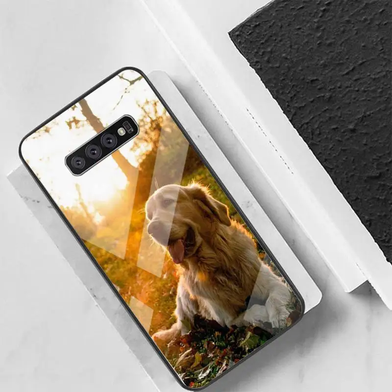 Cute dogs Phone Case Back Cover For Samsung Cases S20 Plus S10 NOTE 8 9 10 10PRO Tempered Glass Soft Silicone Edge
Cute dogs Phone Case Back Cover For Samsung Cases S20 Plus S10 NOTE 8 9 10 10PRO Tempered Glass Soft Silicone Edge