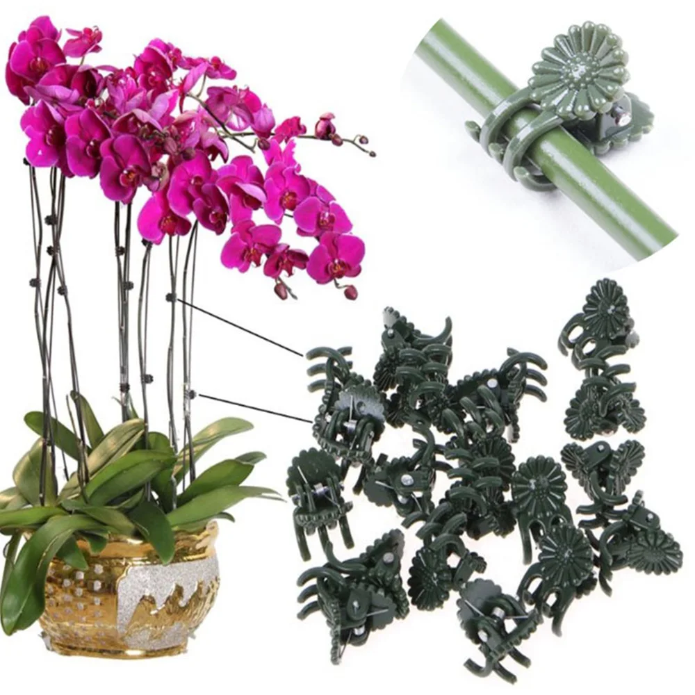 Зажимы Пластиковые для прививки растений, зажим для растений, 50 шт.
Зажимы Пластиковые для прививки растений, зажим для растений, 50 шт.