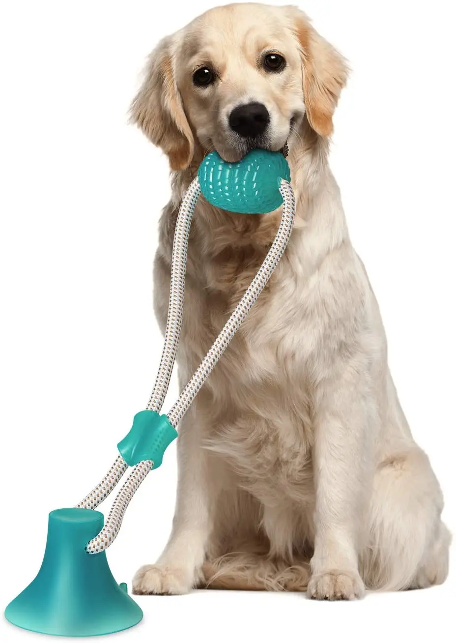 Dog Toy Multifunction Pet Molar Bite Toy with Strong Rope and Powerful Suction Cup for Tug and Chewing, Helps Clean Teeth
Dog Toy Multifunction Pet Molar Bite Toy with Strong Rope and Powerful Suction Cup for Tug and Chewing, Helps Clean Teeth