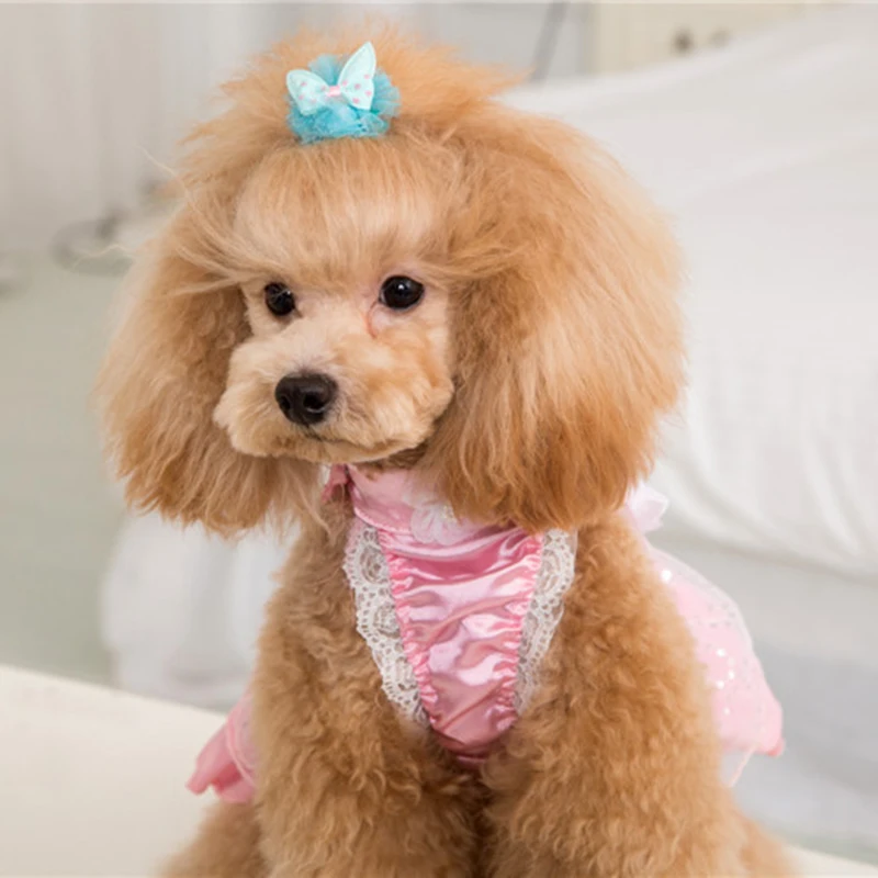Legendog Pet Hair Clip Cute Decorative Dot Lace Dog Hair Clip Fashion Bowknot Dog Hair Clip Headdress Pet Hair Decoration
Legendog Pet Hair Clip Cute Decorative Dot Lace Dog Hair Clip Fashion Bowknot Dog Hair Clip Headdress Pet Hair Decoration