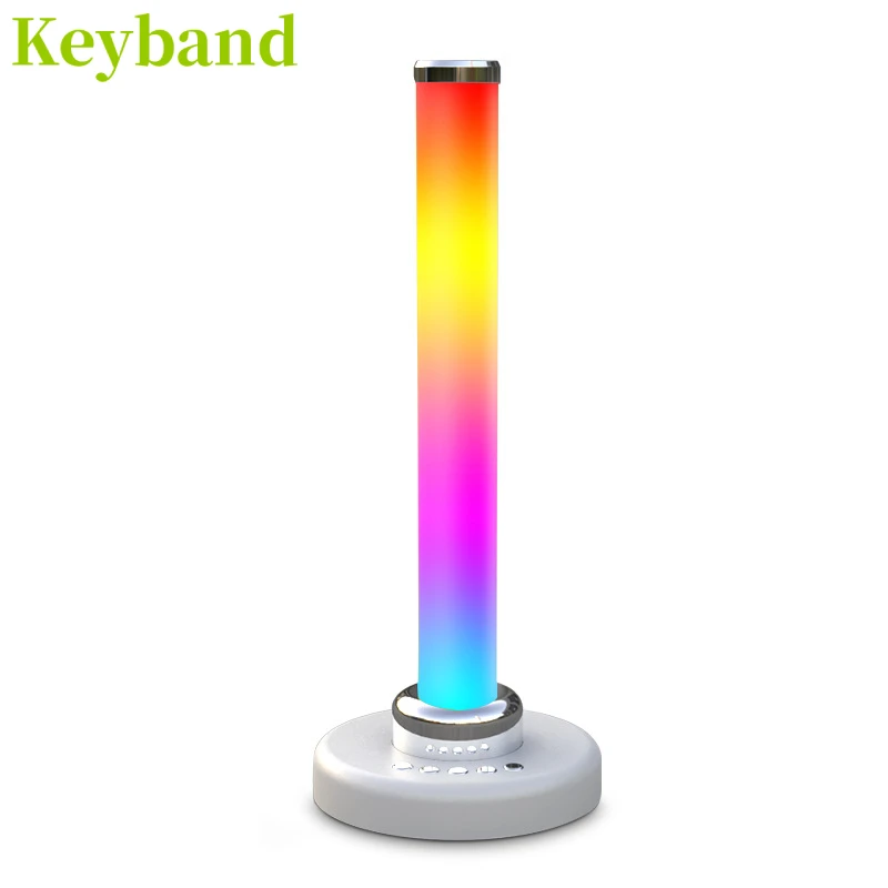 Multifunction Table Light RGBW Color Change APP and Bluetooth Intellignet Control Atmosphere Night Lamp USB Rechargeable
Multifunction Table Light RGBW Color Change APP and Bluetooth Intellignet Control Atmosphere Night Lamp USB Rechargeable