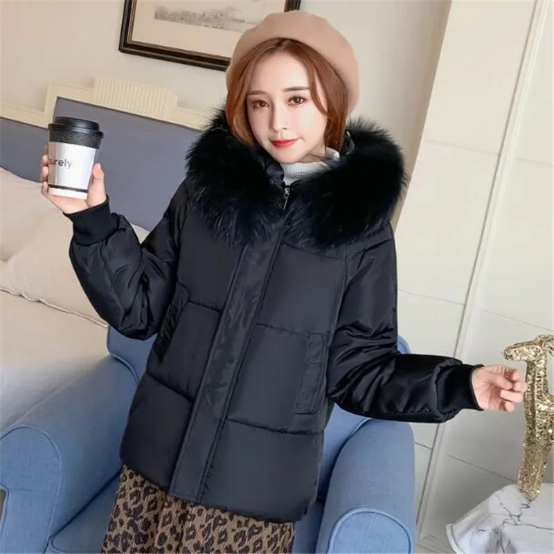 Short cotton coat female 2019 new student loose bread clothing jacket thick down cotton warm parka hooded women winter outerwear
Short cotton coat female 2019 new student loose bread clothing jacket thick down cotton warm parka hooded women winter outerwear