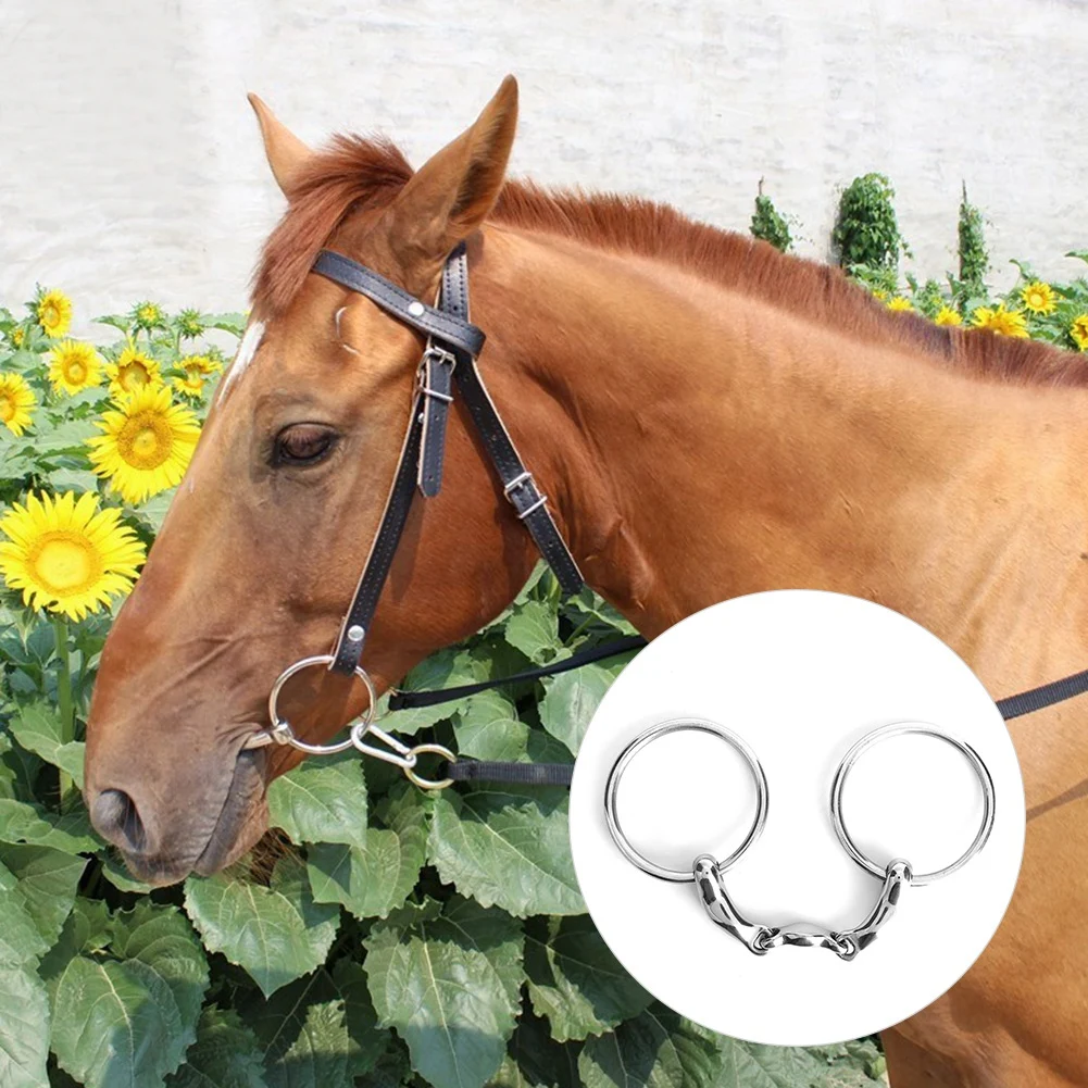 Stainless Steel Dee Bit Snaffle All Purpose Ring Horse Tool Accessories Broken Mouth with Curved Linkall
Stainless Steel Dee Bit Snaffle All Purpose Ring Horse Tool Accessories Broken Mouth with Curved Linkall