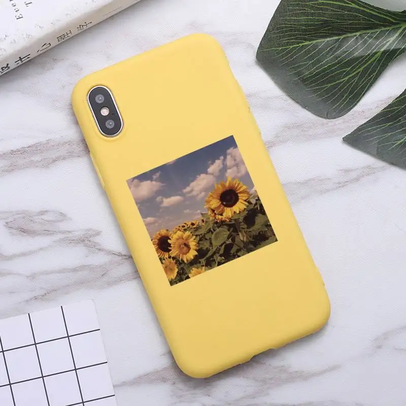Flower daisy sunflower aesthetics Phone Case Candy Color for iPhone 6 7 8 11 12 s mini pro X XS XR MAX Plus
Flower daisy sunflower aesthetics Phone Case Candy Color for iPhone 6 7 8 11 12 s mini pro X XS XR MAX Plus