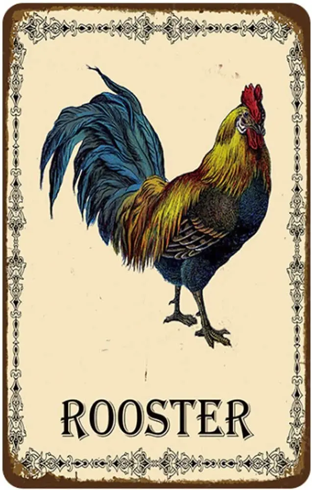 Nostalgic Original Retro Design Rooster Tin Metal Signs Wall Art | Thick Tinplate Print Poster Wall Decoration
Nostalgic Original Retro Design Rooster Tin Metal Signs Wall Art | Thick Tinplate Print Poster Wall Decoration