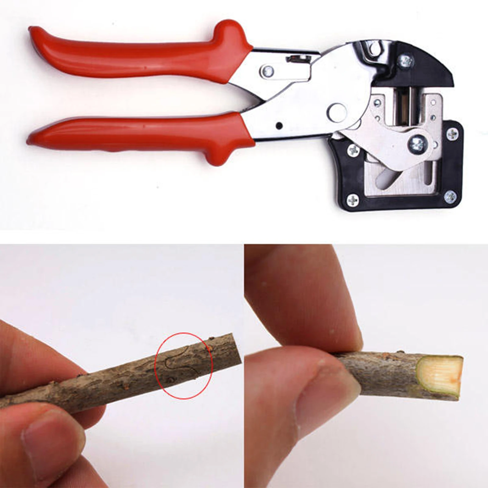 Fruit Trees Engraft Grafting Tool Metal Nursery Outdoor High Quality Convenient Yard Portable Garden Durable Grafter
Fruit Trees Engraft Grafting Tool Metal Nursery Outdoor High Quality Convenient Yard Portable Garden Durable Grafter