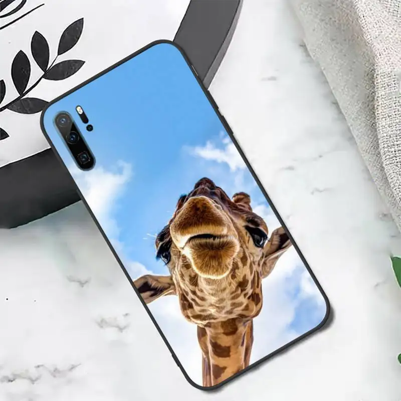 Cute animal Zebra Giraffe Phone Case For Huawei honor Mate P 10 20 30 40 i 9 8 pro x Lite smart 2019 nova 5t
Cute animal Zebra Giraffe Phone Case For Huawei honor Mate P 10 20 30 40 i 9 8 pro x Lite smart 2019 nova 5t