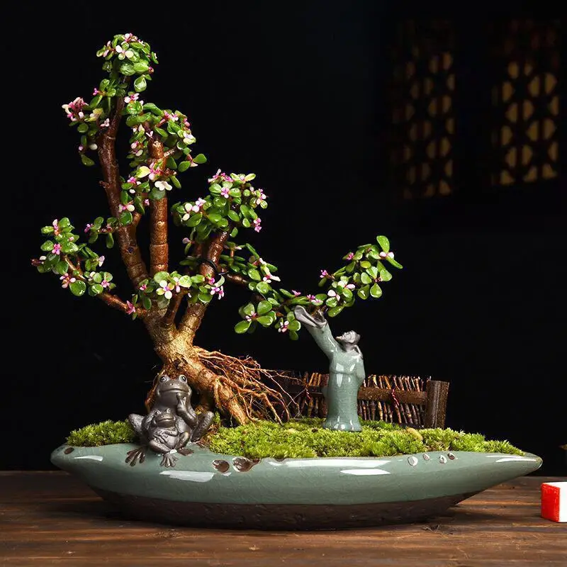 Simple Flower Pot Creative Ceramic Chinese Style Art Indoor Bonsai Flower Pot Green Plant Potted Large Asparagus Succulent Pot
Simple Flower Pot Creative Ceramic Chinese Style Art Indoor Bonsai Flower Pot Green Plant Potted Large Asparagus Succulent Pot