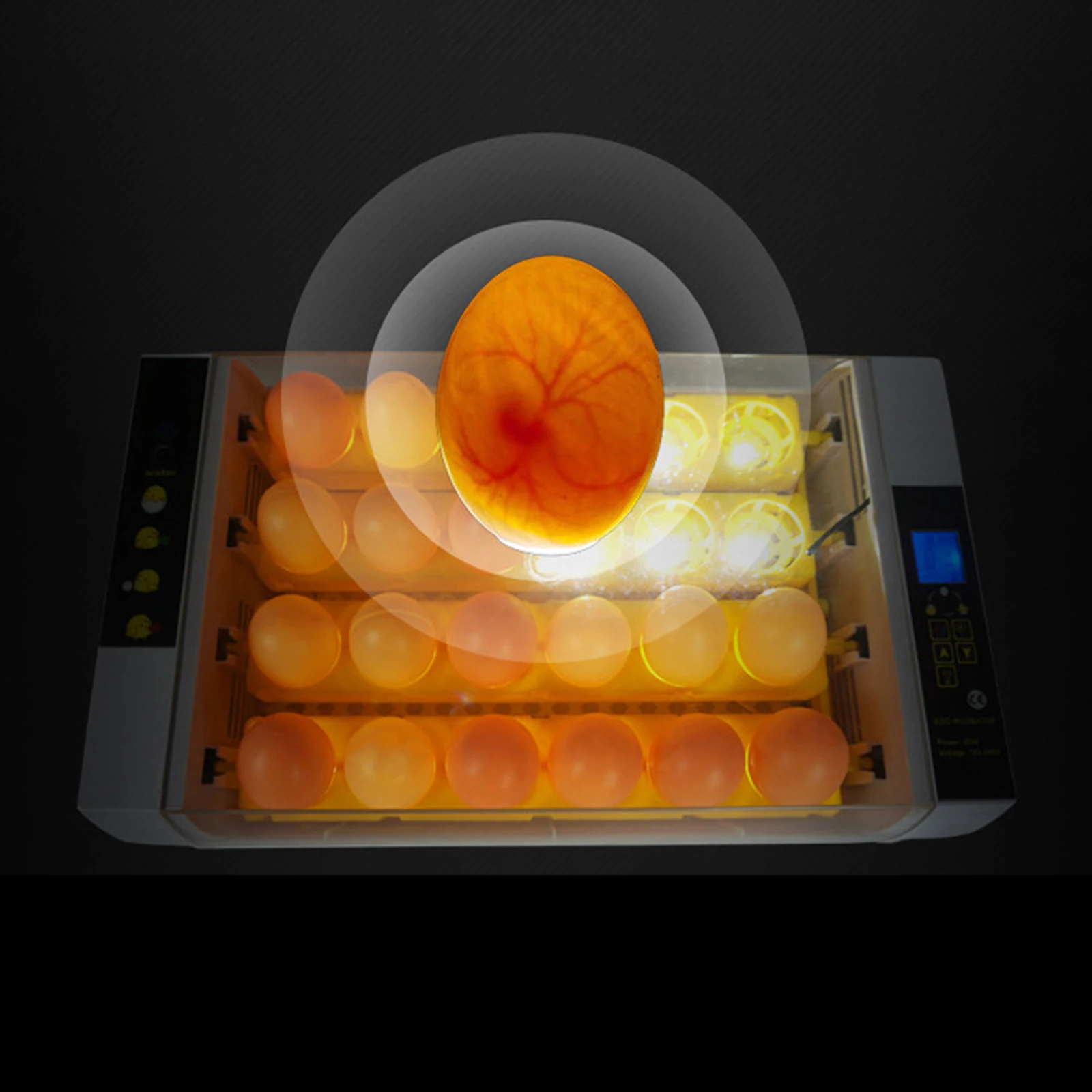 Household Egg Incubator 24-Egg Small Poultry Auto Temperature Control Automatic Turkey Goose Quail Egg Hatcher Breeder
Household Egg Incubator 24-Egg Small Poultry Auto Temperature Control Automatic Turkey Goose Quail Egg Hatcher Breeder