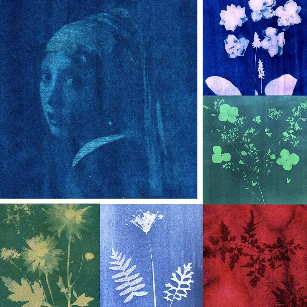 24 шт. бумага Cyanotype для печати активированная солнечной энергией|Бумага рисования|