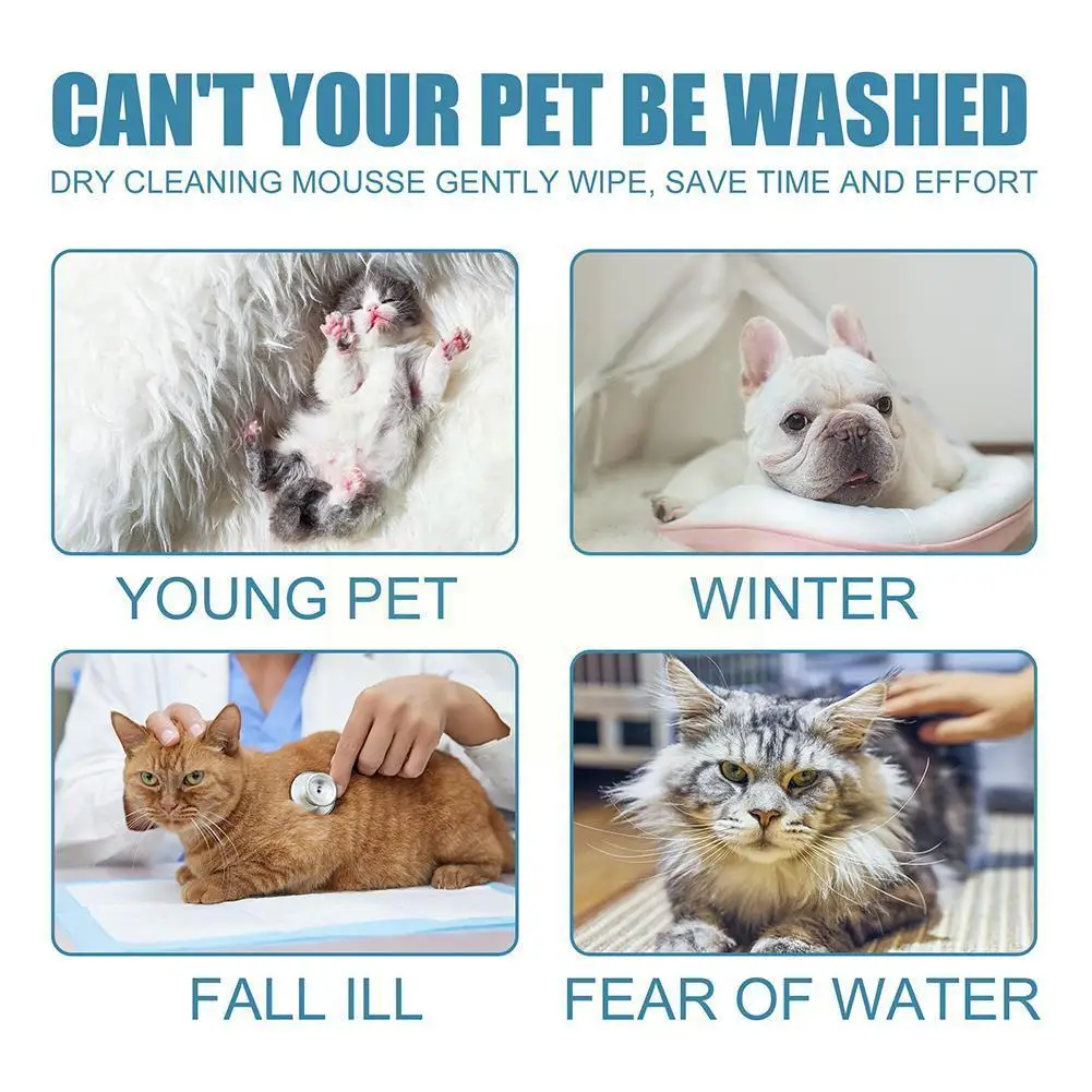 60ml Pet Cleaning Shampoo Pet Shower Gel Pet Cleaning Cleaning Bath Shower Puppy Gel Supplies Cleaning Pet Foam Dog M1n1
60ml Pet Cleaning Shampoo Pet Shower Gel Pet Cleaning Cleaning Bath Shower Puppy Gel Supplies Cleaning Pet Foam Dog M1n1