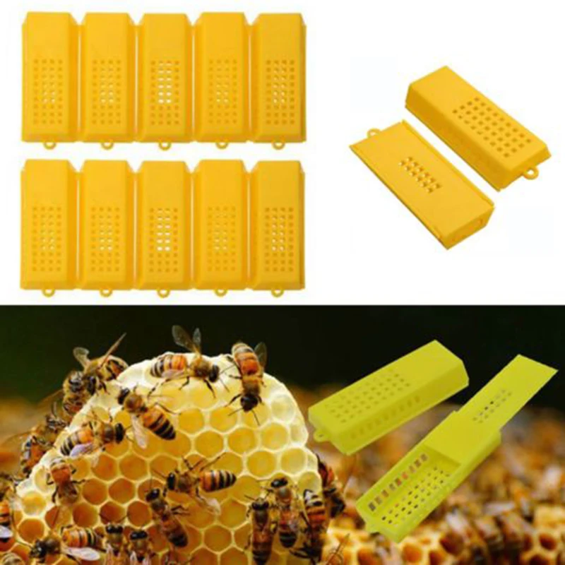 10Pcs Beekeeper Butler Queen Bee Cage Plastic Traveling Moving Catcher Trap Case Coop Box Holder Keeper Isolator Beekeeping Tool
10Pcs Beekeeper Butler Queen Bee Cage Plastic Traveling Moving Catcher Trap Case Coop Box Holder Keeper Isolator Beekeeping Tool