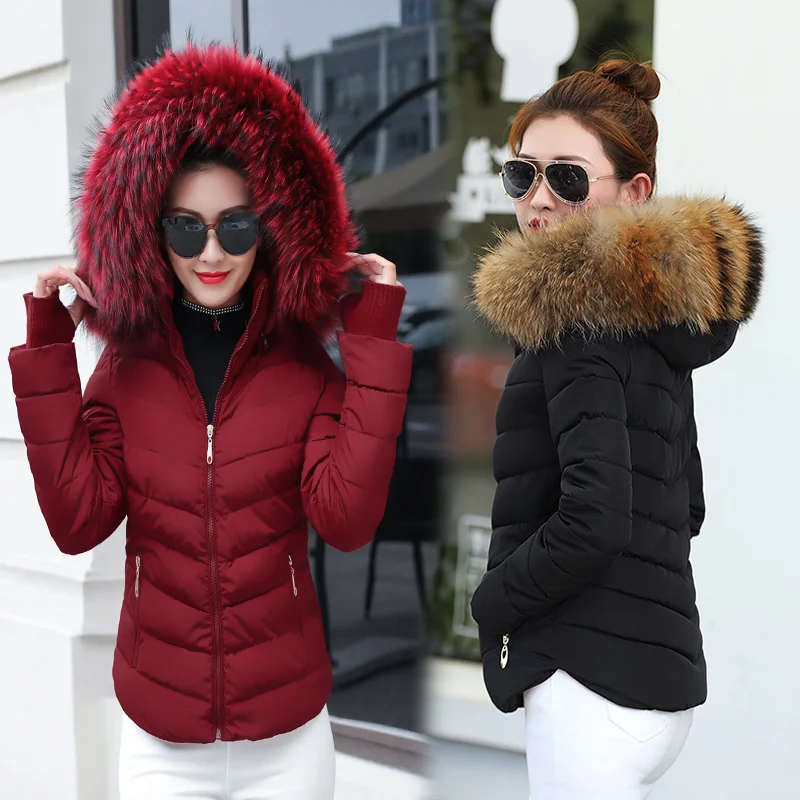 Winter Jacket Women Parkas for Coat Fashion Female Down With a Hood Large Faux Fur Collar Coats 2021 Autumn Outwear Ladies
Winter Jacket Women Parkas for Coat Fashion Female Down With a Hood Large Faux Fur Collar Coats 2021 Autumn Outwear Ladies