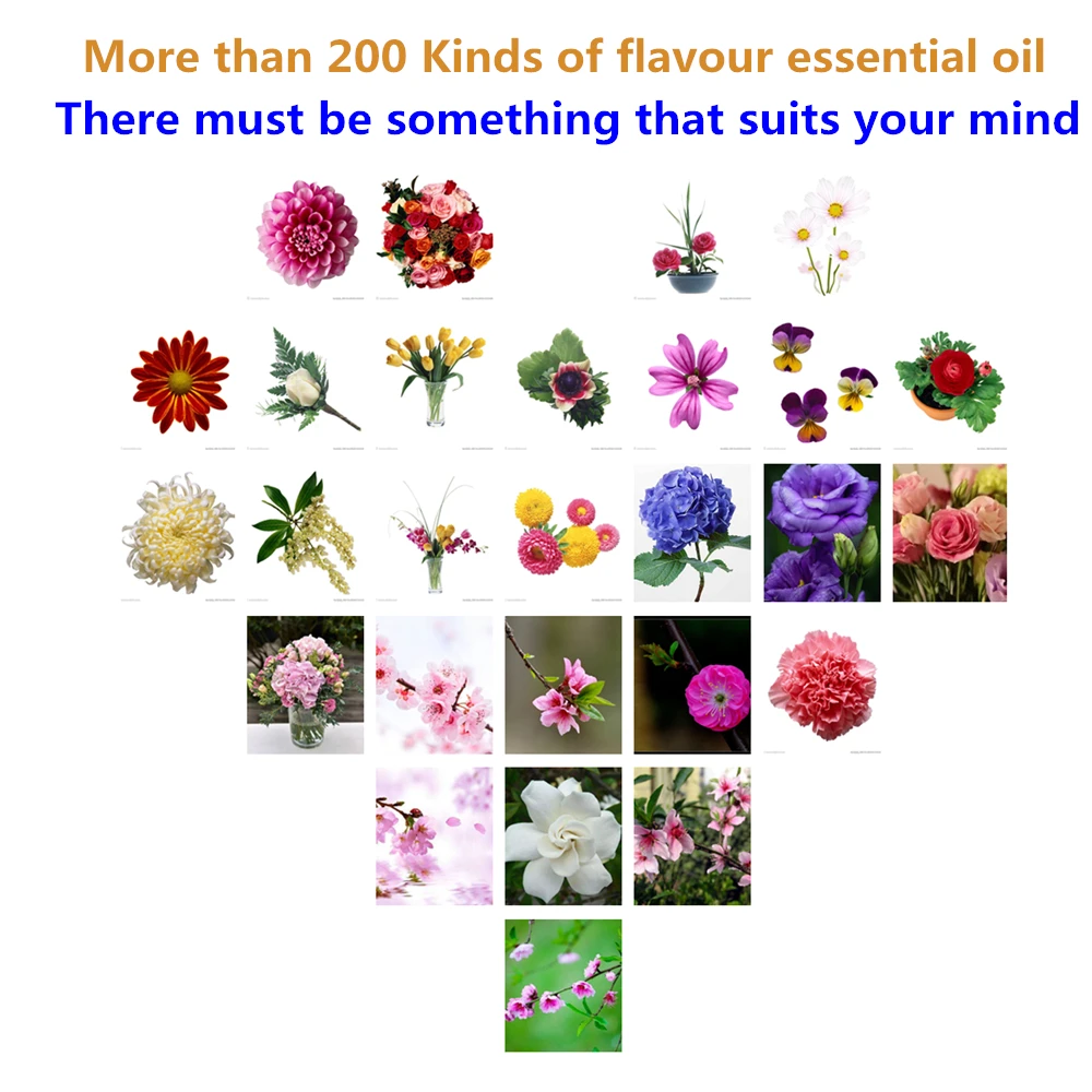 

Essential Oils for Diffuser Pansy Aromatherapy Oil Humidifier 16 Kinds Fragrance of Lavender, Tea Tree, Rosemary, Lemongrass