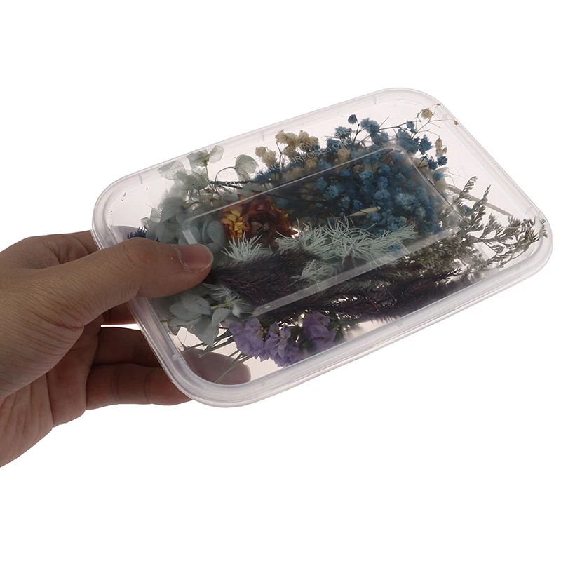 1 Box Real Dried Flower Dry Plants For Aromatherapy Candle Epoxy Resin Pendant Necklace Jewelry Making Craft DIY Accessories
1 Box Real Dried Flower Dry Plants For Aromatherapy Candle Epoxy Resin Pendant Necklace Jewelry Making Craft DIY Accessories