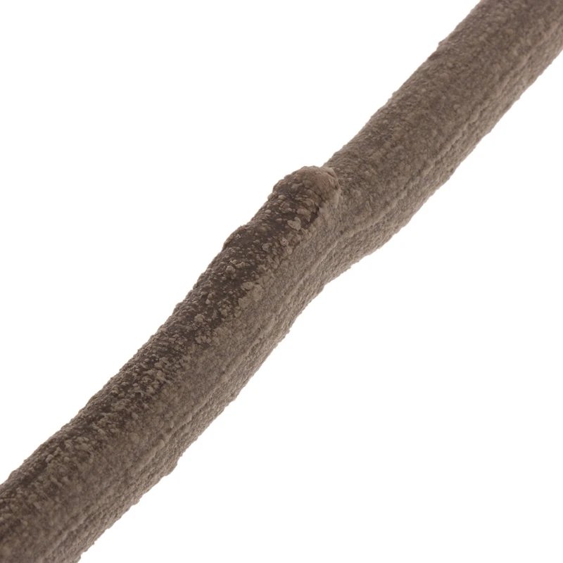 Искусственная лоза, искусственный чехол, украшение, ящерица из ротанга, 1 м, украшение с изгибом растения
Искусственная лоза, искусственный чехол, украшение, ящерица из ротанга, 1 м, украшение с изгибом растения