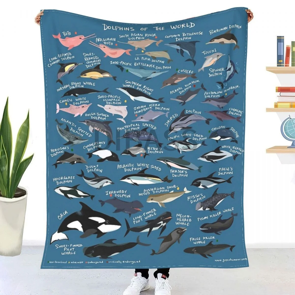 Фланелевое Одеяло с 3D-принтом дельфинов мира
Фланелевое Одеяло с 3D-принтом дельфинов мира