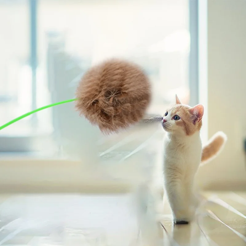 Funny cat toys, funny cat sticks, cat interactive toys, real rabbit fur balls, feathers, mice, tumblers, cat toys 3-piece set
Funny cat toys, funny cat sticks, cat interactive toys, real rabbit fur balls, feathers, mice, tumblers, cat toys 3-piece set