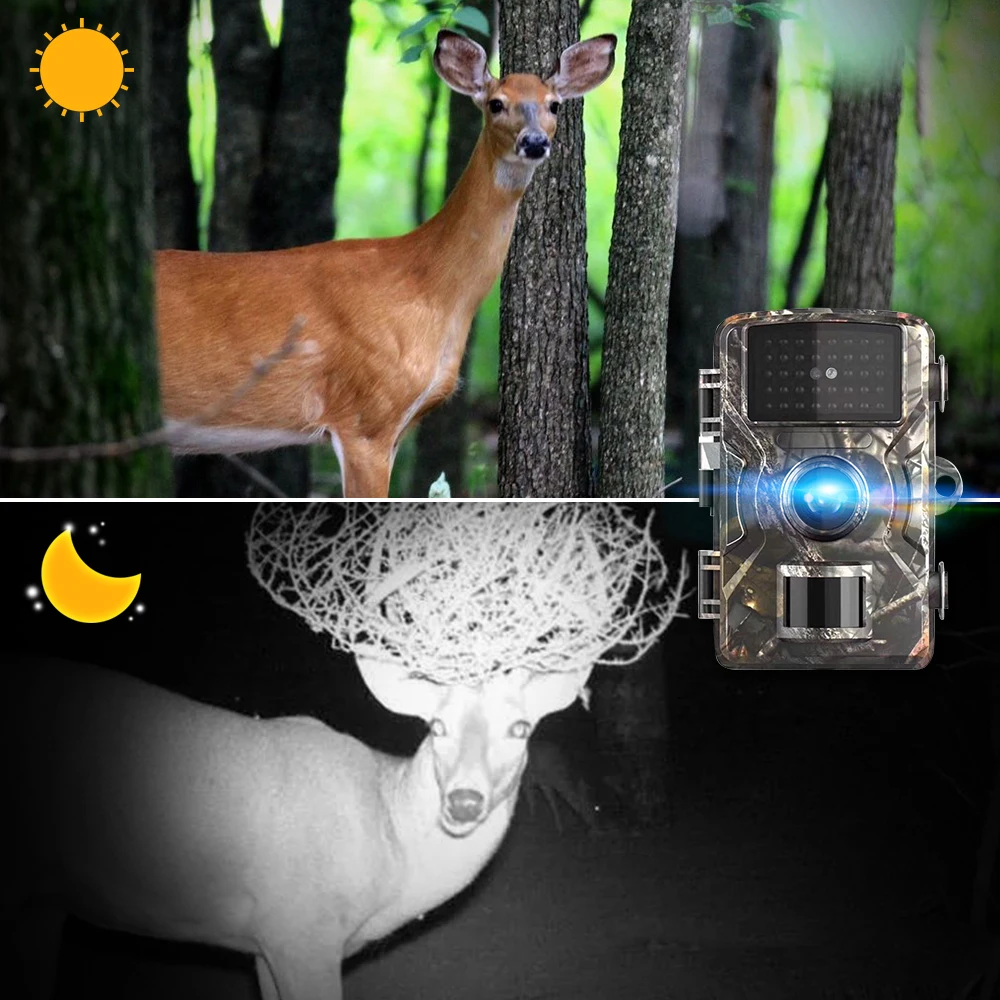 Hunting Trail Camera DL001 940NM Video Cameras Photo Trap Infrared Wildlife Camera IP66 1080P Outdoor HD Tracking Camera 
Hunting Trail Camera DL001 940NM Video Cameras Photo Trap Infrared Wildlife Camera IP66 1080P Outdoor HD Tracking Camera
