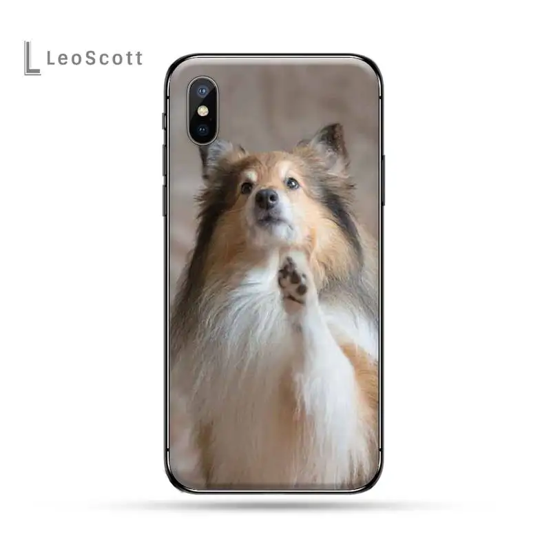 Funny Animal Sheltie dog Phone Case for iPhone 11 12 pro XS MAX 8 7 6 6S Plus X 5S SE 2020 XR
Funny Animal Sheltie dog Phone Case for iPhone 11 12 pro XS MAX 8 7 6 6S Plus X 5S SE 2020 XR