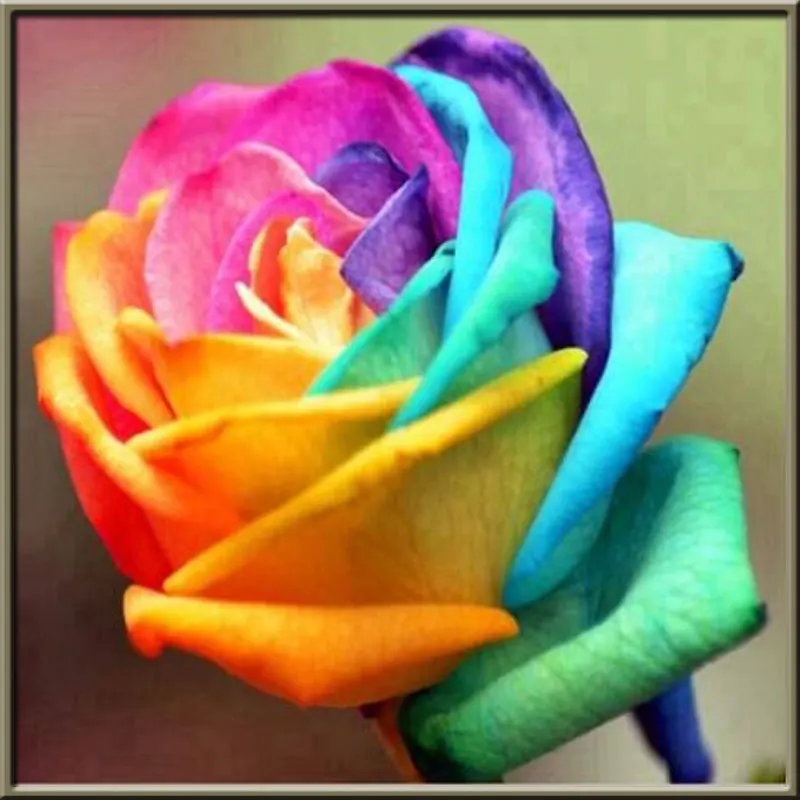 Diamond Mosaic Flowers 5D Diy Diamond Painting Full Drill Square Diamond Embroidery Colored Flowers Cross Stitch Home Decor Art
Diamond Mosaic Flowers 5D Diy Diamond Painting Full Drill Square Diamond Embroidery Colored Flowers Cross Stitch Home Decor Art