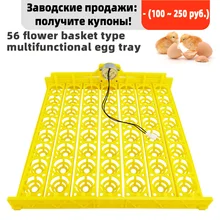 Egg Incubator Automatic 56 Eggs Duck Chicken Eggs Hatching Machine 220V--AC12V--DC12V Incubator Trays with Auto Turn Motor