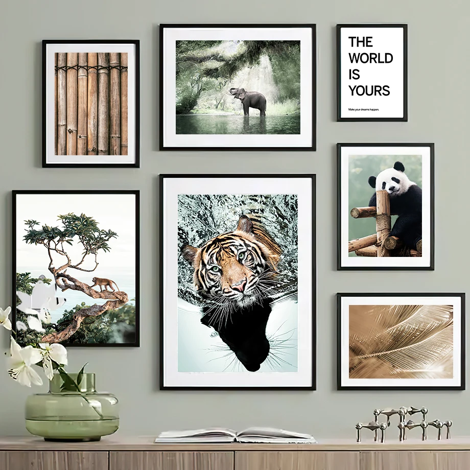 Jungle Animals Photo Tiger Monkey Panda Parrot Wall Art Canvas Painting Nordic Posters And Prints Wall Pictures Kids Room Decor
Jungle Animals Photo Tiger Monkey Panda Parrot Wall Art Canvas Painting Nordic Posters And Prints Wall Pictures Kids Room Decor