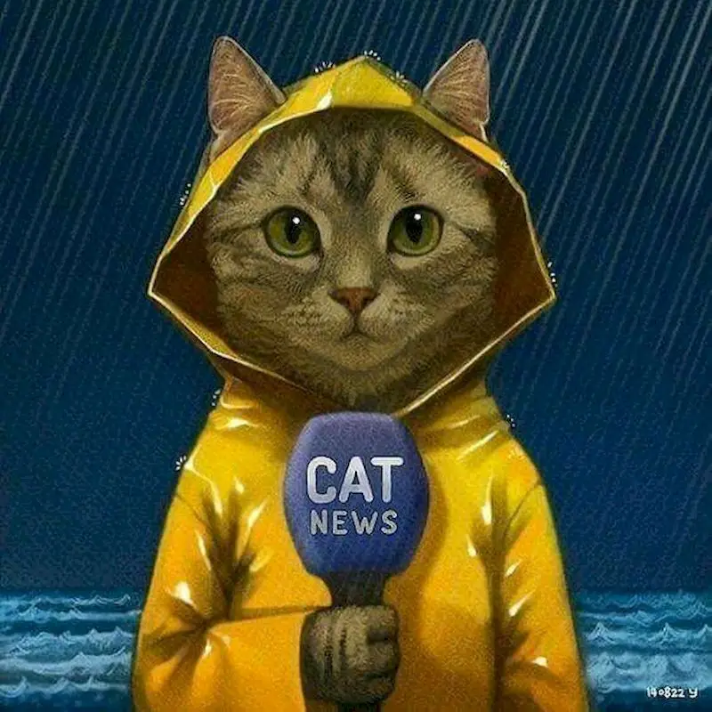 Gatyztory Frame Cat Diy Painting By Numbers Animal Canvas Colouring Handpainted Kits Gift Wall Decor 60×75cm
Gatyztory Frame Cat Diy Painting By Numbers Animal Canvas Colouring Handpainted Kits Gift Wall Decor 60×75cm
