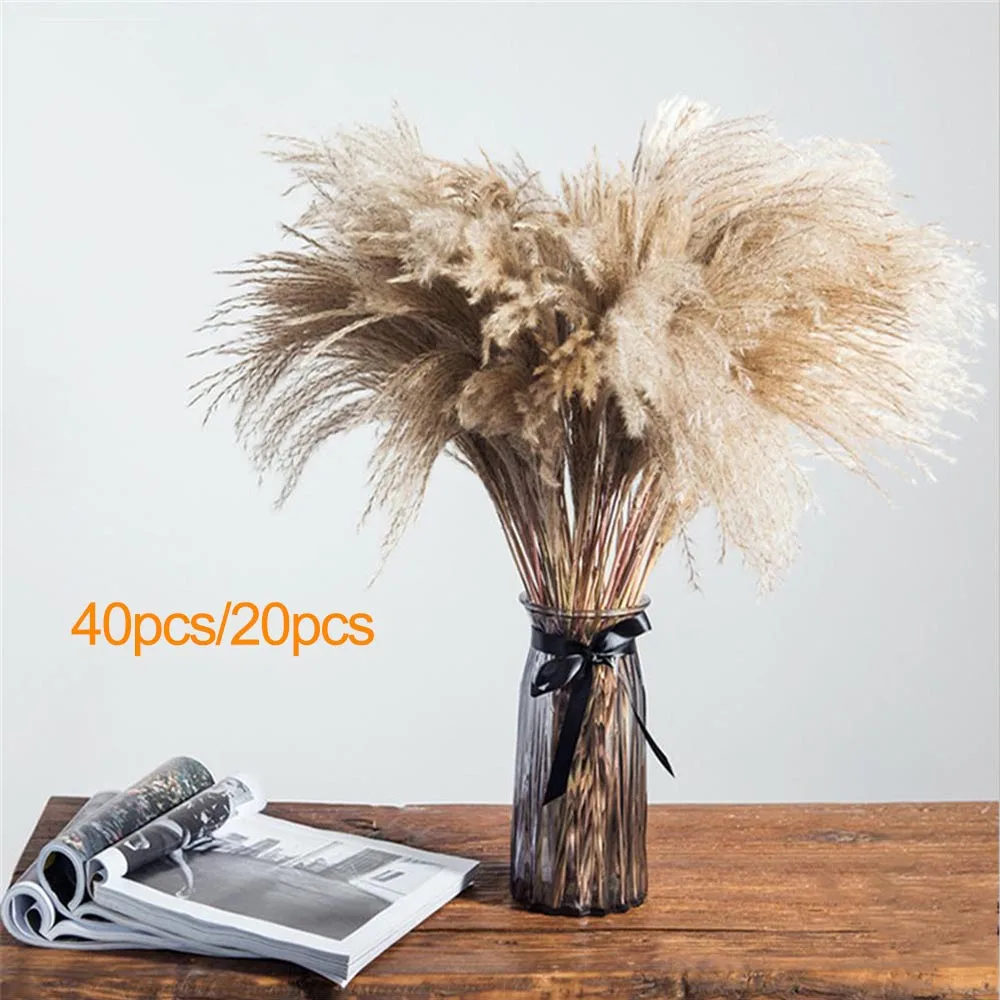 Feather Flower Natural Reed Flower Bouquet Hay Plant Home Decoration 19-22 Inches High Dried Flower Wedding Decoration
Feather Flower Natural Reed Flower Bouquet Hay Plant Home Decoration 19-22 Inches High Dried Flower Wedding Decoration