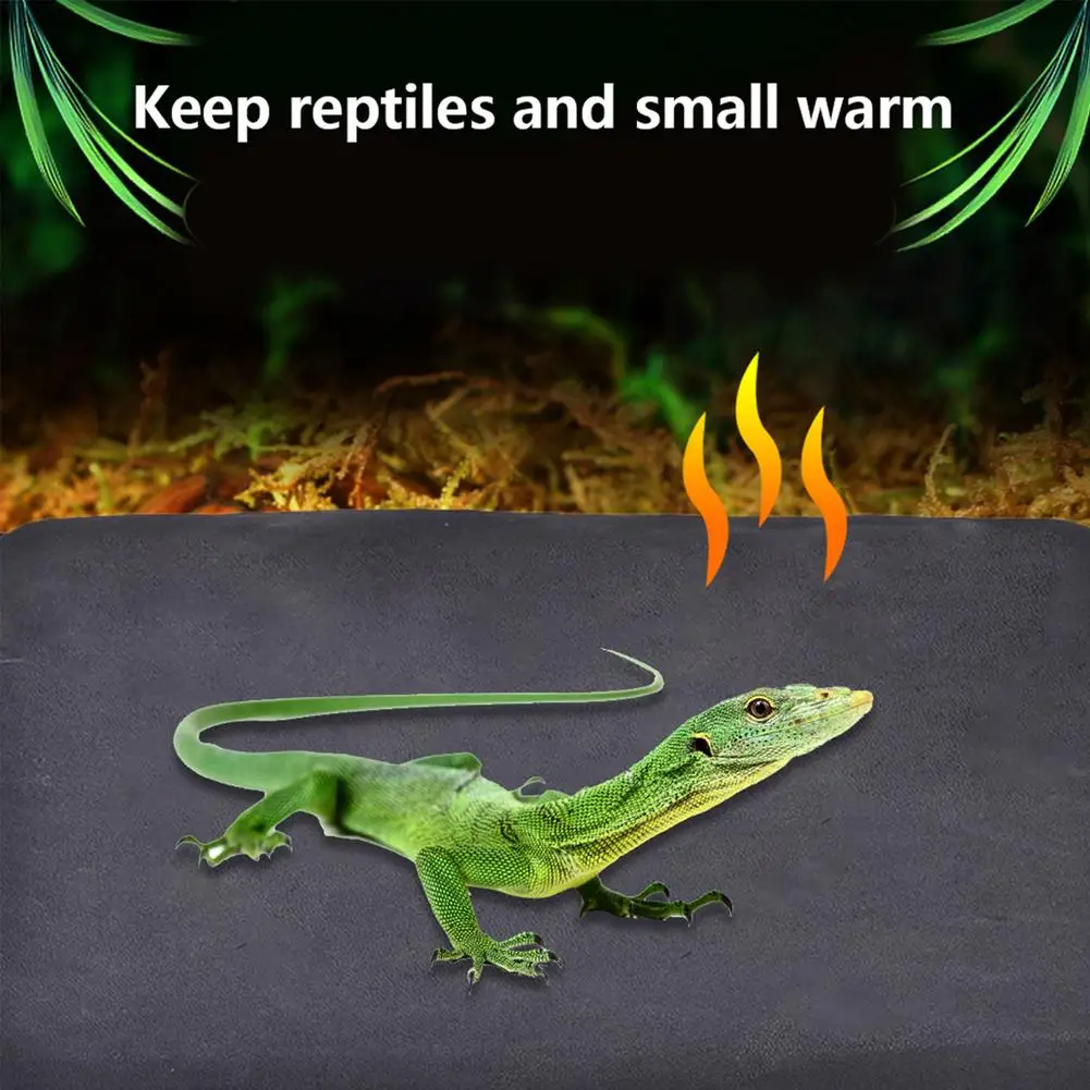 9W Reptiles Heat Mat Climbing Pet Warm Heating Pads Three-stage Thermostat Controller Mats Reptiles Supplies
9W Reptiles Heat Mat Climbing Pet Warm Heating Pads Three-stage Thermostat Controller Mats Reptiles Supplies