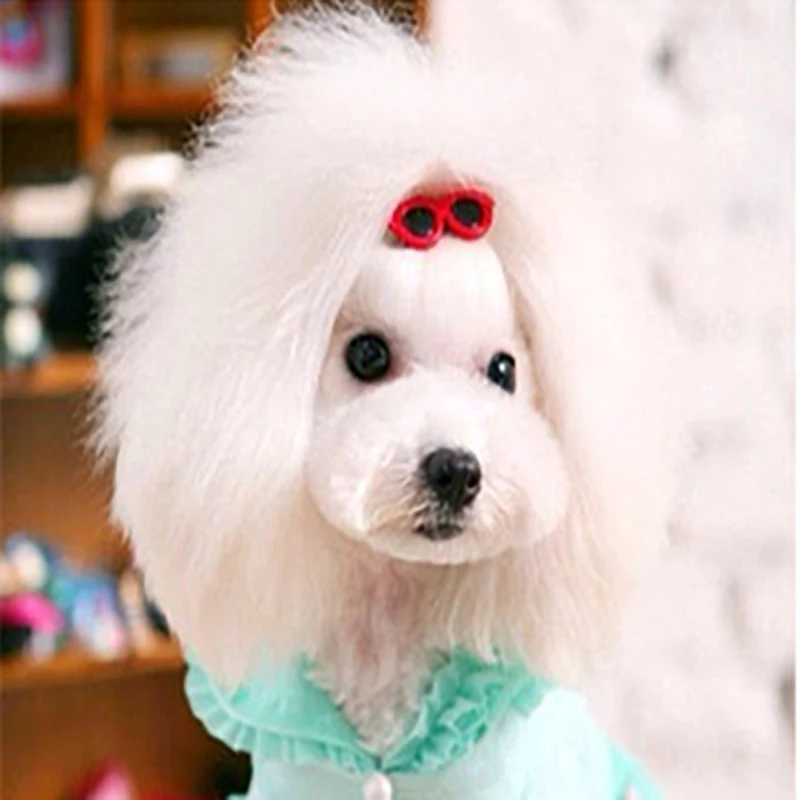 1Pcs Pet Lovely Heart Sunglasses Hairpins Pet Dog Bows Hair Clips for Puppy Dogs Cat Yorkie Teddy Pet Hair Decor Pet Supplies
1Pcs Pet Lovely Heart Sunglasses Hairpins Pet Dog Bows Hair Clips for Puppy Dogs Cat Yorkie Teddy Pet Hair Decor Pet Supplies
