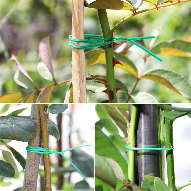 20 M Garden Ties Gardening Plants Climbing Vines Fixed Bracket Coil Plastic Wire Comes With Shears Gardening Tools
20 M Garden Ties Gardening Plants Climbing Vines Fixed Bracket Coil Plastic Wire Comes With Shears Gardening Tools